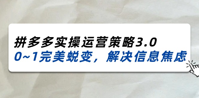 （11658期）2024_2025拼多多平台实际操作运营战略3.0，0~1华丽蜕变，处理信息焦虑（38节）-蓝悦项目网