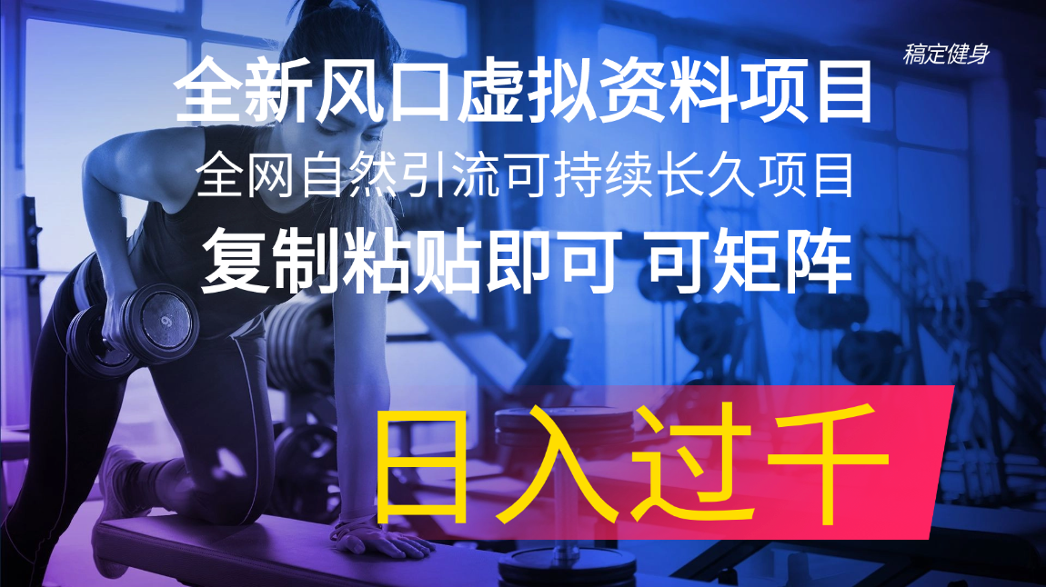 （11587期）全新升级出风口虚似材料新项目 各大网站当然引流方法可持续性长期新项目 拷贝就可以可引流矩阵…-蓝悦项目网