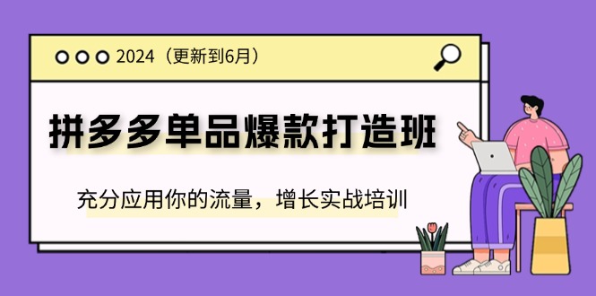 （11556期）2024拼多多平台-品类爆款打造班(升级6月)，充分应用你的流量，提高实战培训-蓝悦项目网