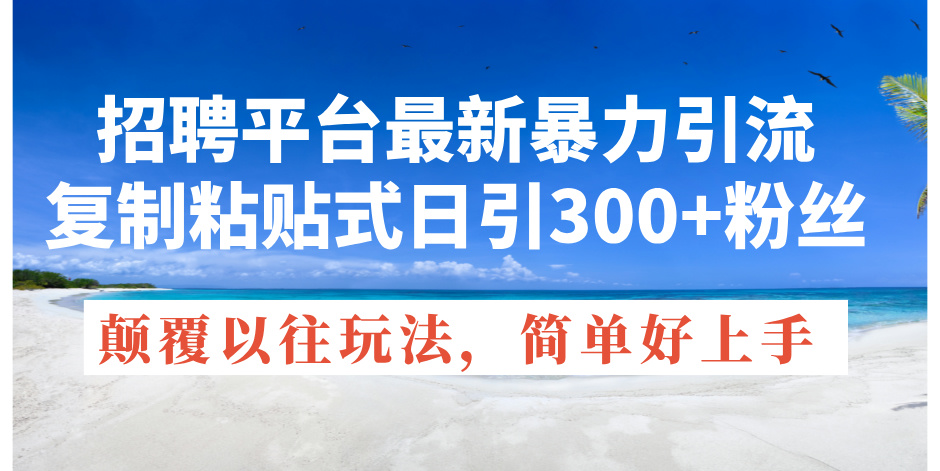 （11538期）招聘网站全新暴力行为引流方法，拷贝式日引300 粉丝们，刷新过去废弃物游戏玩法，简…-蓝悦项目网