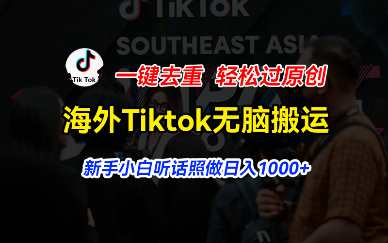 （11487期）国外Tiktok小视频没脑子运送，一键去重轻松突破原创设计，新手入门照着做日入…-蓝悦项目网