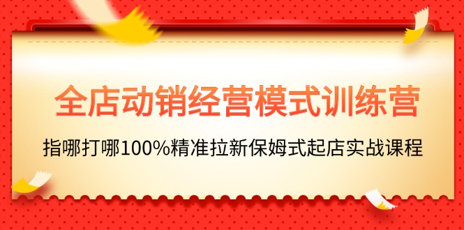 （11460期）全店动销-经营模式训练营，指哪打哪100%精准拉新保姆式起店实战课程-蓝悦项目网