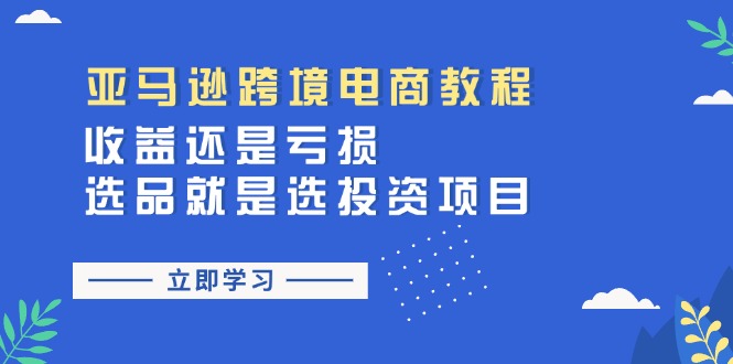 （11432期）亚马逊跨境电商教程：收益还是亏损！选品就是选投资项目-蓝悦项目网