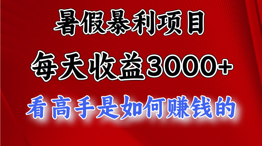 （11422期）暑期赚钱项目，每日盈利3000  加把劲可以达到5000 ，暑期大流量来了-蓝悦项目网