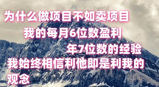 做项目不如卖项目，每月6位数盈利，年7位数经验-蓝悦项目网