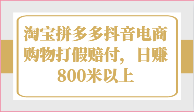 淘宝拼多多抖音电商购物打假赔付，日赚800米以上-蓝悦项目网