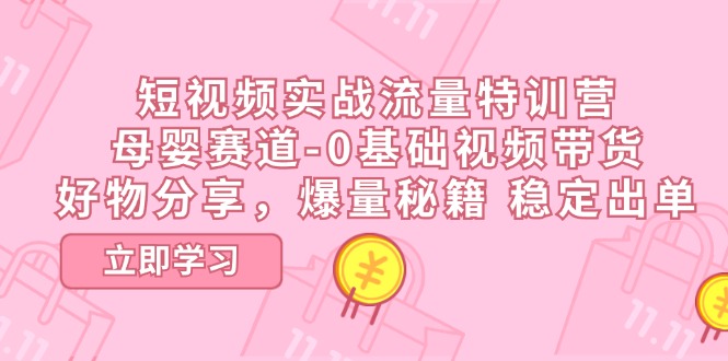 （11373期）短视频实战流量特训营，母婴赛道-0基础带货，好物分享，爆量秘籍 稳定出单-蓝悦网_分享蓝悦网创业资讯_最新网络项目资源-蓝悦项目网