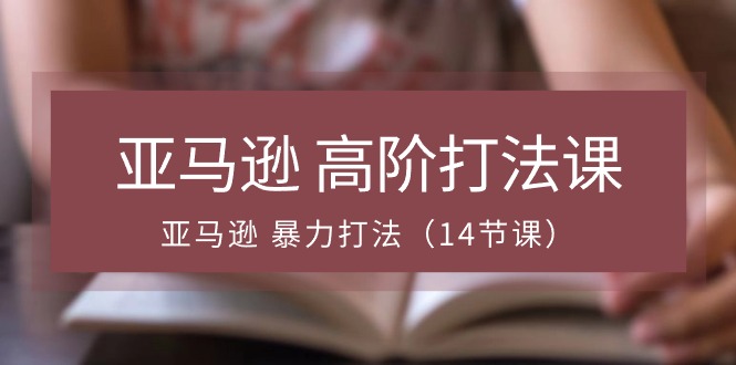 亚马逊高阶打法课，亚马逊暴力打法（14节视频课）-蓝悦项目网