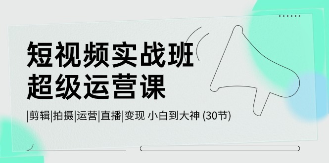 短视频实战班超级运营课 |剪辑|拍摄|运营|直播|变现 小白到大神 (30节)-蓝悦项目网