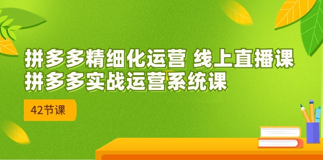 拼多多精细化运营 线上直播课：拼多多实战运营系统课（更新47节）-蓝悦项目网