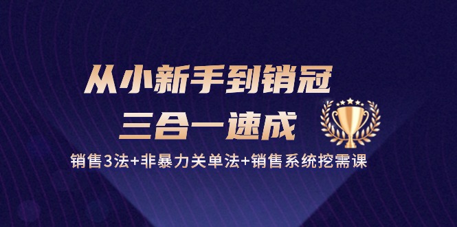 从小新手到销冠三合一速成：销售3法+非暴力关单法+销售系统挖需课 (27节)-蓝悦项目网