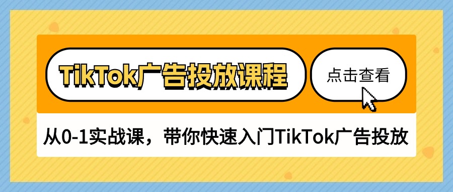 TikTok广告投放课程，从0-1实战课，带你快速入门TikTok广告投放（30节课）-蓝悦项目网