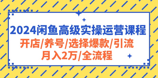 2024闲鱼高级实操运营课程：开店/养号/选择爆款/引流/月入2万/全流程-蓝悦项目网