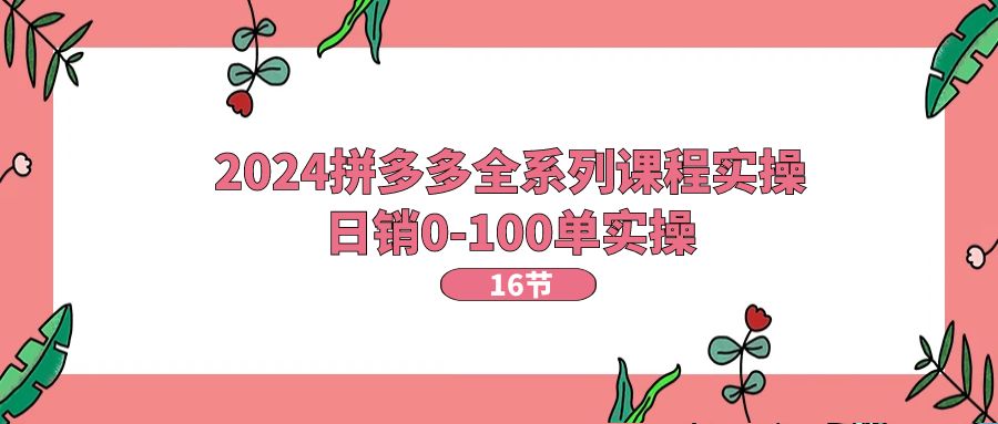 （11222期）2024拼多多全系列课程实操，日销0-100单实操【16节课】-蓝悦项目网