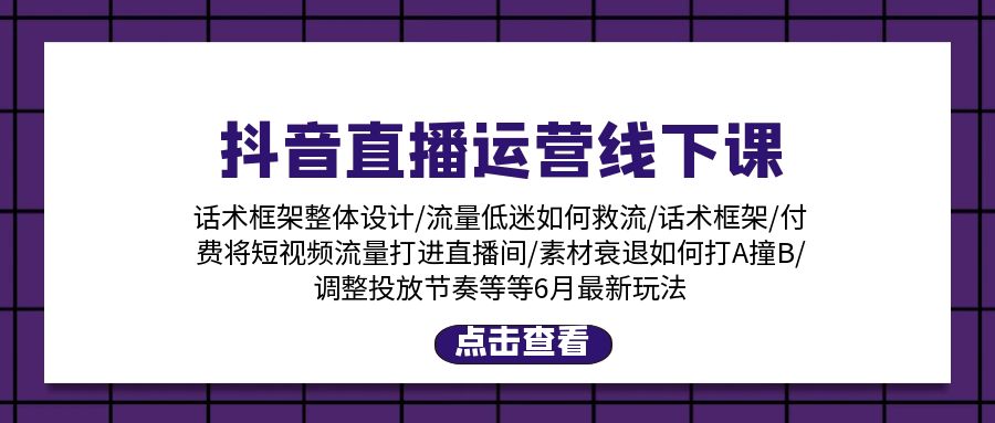 （11211期）抖音直播运营线下课：话术框架/付费流量直播间/素材A撞B/等6月新玩法-蓝悦项目网