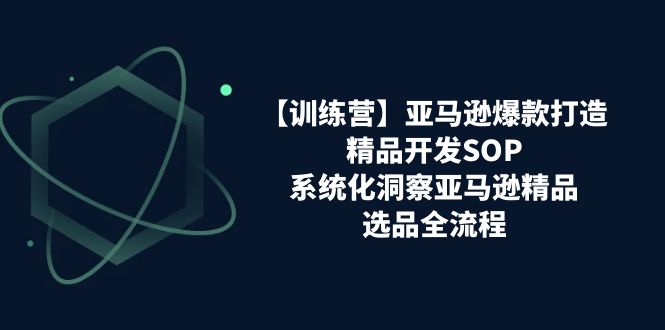 （11210期）【训练营】亚马逊爆款打造之精品开发SOP，系统化洞察亚马逊精品选品全流程-蓝悦项目网