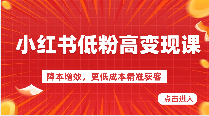 小红书的低筋粉高转现课-降低成本，更低成本营销获客，小红书的必出平台流量登陆密码-蓝悦项目网