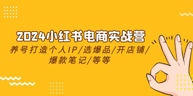 2024小红书电商实战营，起号打造出IP/选爆款/开店铺/爆品手记/等（24节）-蓝悦项目网