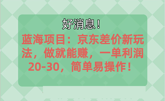 （10989期）越快了解越有钱赚的蓝海项目：京东大平台操作，一单利润20-30，简易…-蓝悦项目网