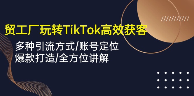 外贸工厂轻松玩TikTok高效率拓客，多种多样推广方式/内容创作/爆款打造/多方位解读-蓝悦项目网