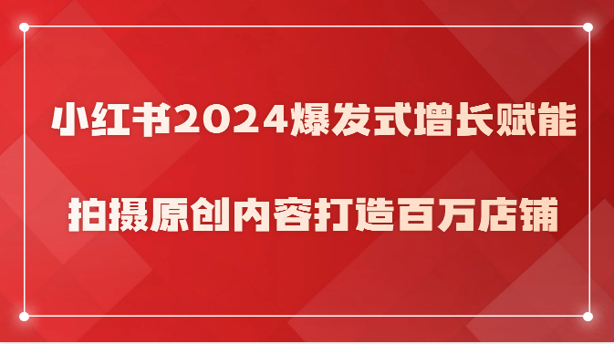 小红书的2024井喷式增长创变，拍照优质内容打造出上百万店面！-蓝悦项目网