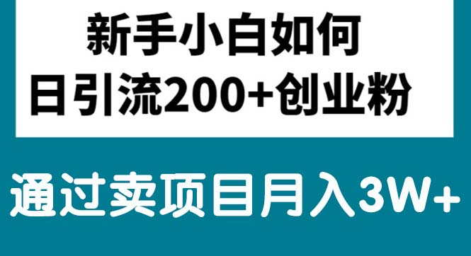 （10843期）新手入门日引流方法200 自主创业粉,根据卖项目月入3W-蓝悦项目网