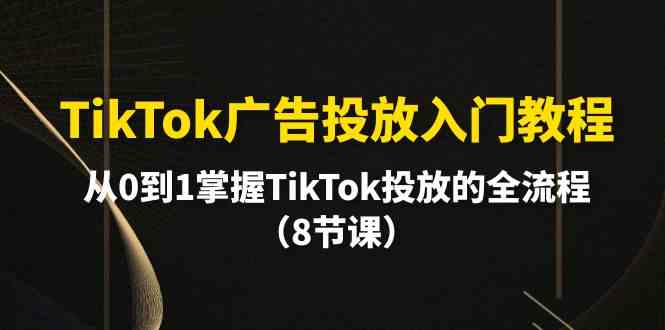 TikTok广告投放入门教程，从0到1掌握TikTok投放的全流程（8节课）-蓝悦项目网