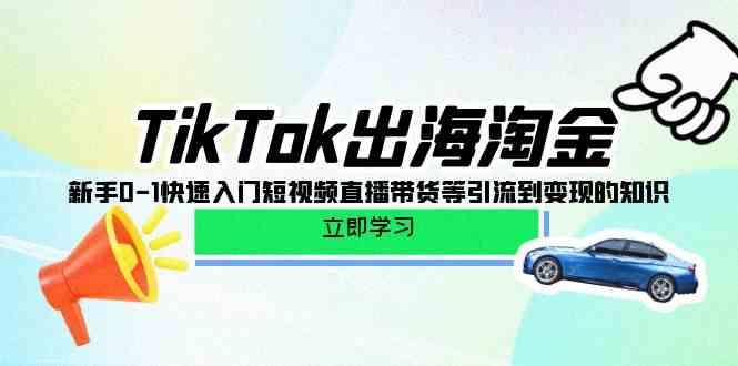 TikTok出航挖金，初学者0-1快速上手短视频带货卖货等引导到快速变现专业知识-蓝悦项目网