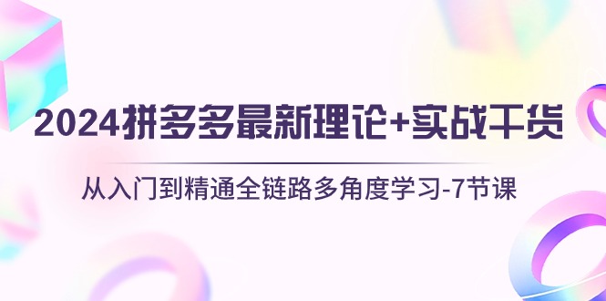 （10816期）2024拼多多 最新理论+实战干货，从入门到精通全链路多角度学习-7节课-蓝悦项目网