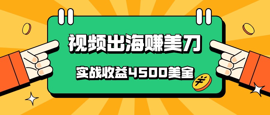 中国爆款短视频出航赚美金，实战演练盈利4500美元，大批量没脑子运送，无需经验直接上手-蓝悦项目网