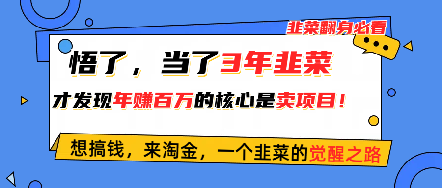 （10759期）悟了，当了3年韭菜，才发现网赚圈年赚100万的核心是卖项目，含泪分享！-蓝悦项目网