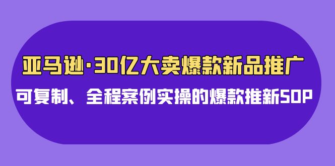 亚马逊平台30亿热销爆品新品推广，复制推广、全过程实例实际操作的爆款上新SOP-蓝悦项目网