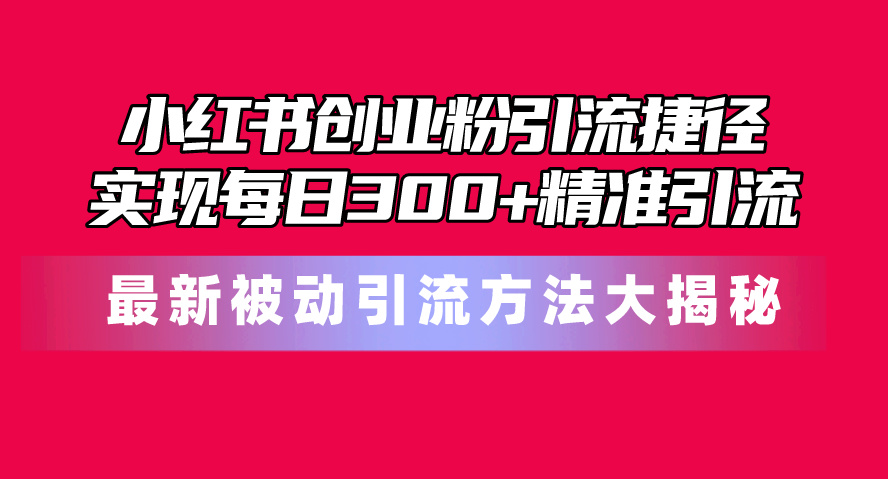 （10692期）小红书的自主创业粉引流方法近道！全新被动引流方式大曝光，完成每日300 精准引流方法-蓝悦项目网