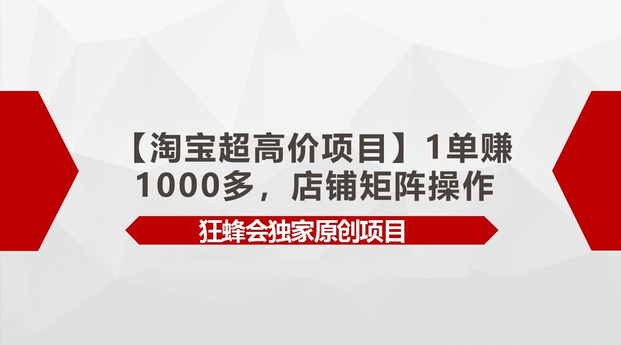 【淘宝网超高价位新项目】1单赚1000多，店面引流矩阵实际操作-蓝悦项目网