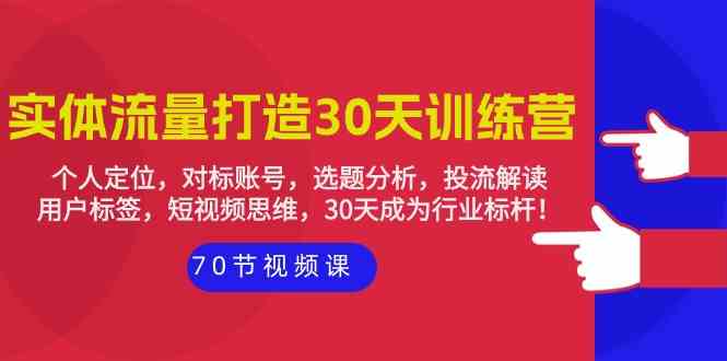 实体线总流量打造出30天夏令营：个人定位，对比账户，论文选题剖析，投流讲解（70节）-蓝悦项目网