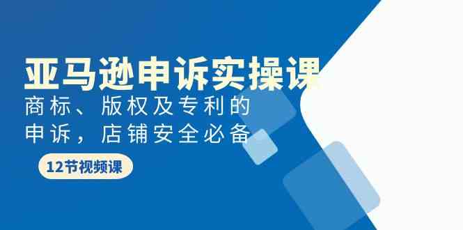 亚马逊申诉实战课，商标、版权及专利的申诉，店铺安全必备-蓝悦项目网