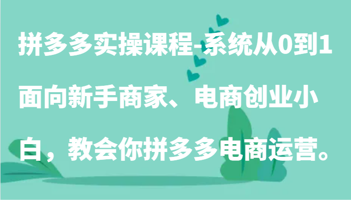 拼多多实操课程：系统从0到1，面向新手商家、电商创业小白，教会你拼多多电商运营。-蓝悦项目网