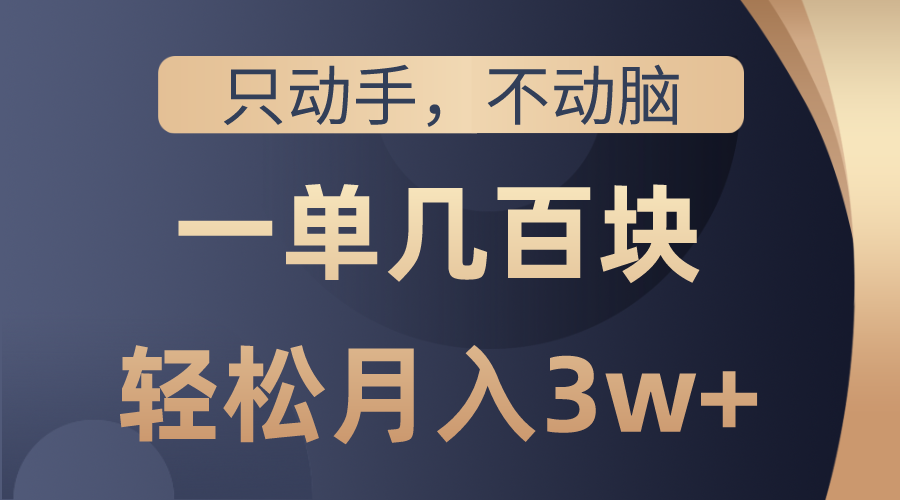 （10561期）只动手不动脑，一单几百块，轻松月入3w+，看完就能直接操作，详细教程-蓝悦项目网