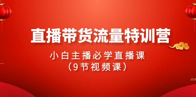 2024直播卖货总流量夏令营，新手网络主播必会视频课堂（9节视频课程）-蓝悦项目网