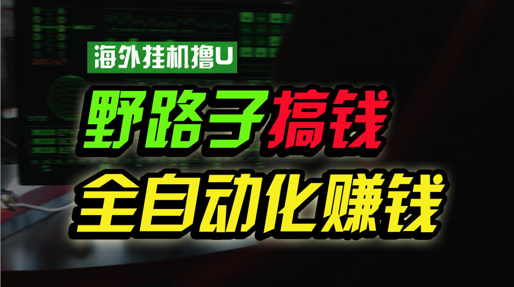 （10366期）国外放置挂机撸U新渠道，日赚8-15美金，全过程无人化，可大批量变大，个人工作室…-蓝悦项目网