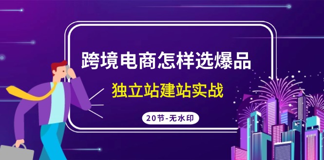 跨境电商怎样选爆品，独立站建站实战（20节高清课）-蓝悦项目网