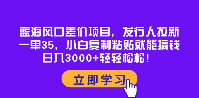 （10272期）蓝海风口价格差新项目，外国投资者引流，一单35，新手拷贝就可弄钱！日入30…-蓝悦项目网