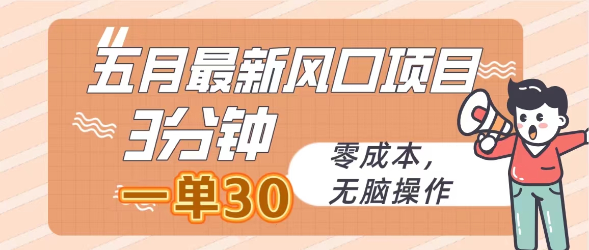 （10256期）五月全新蓝海项目，3min一单30，零成本，没脑子实际操作-蓝悦项目网