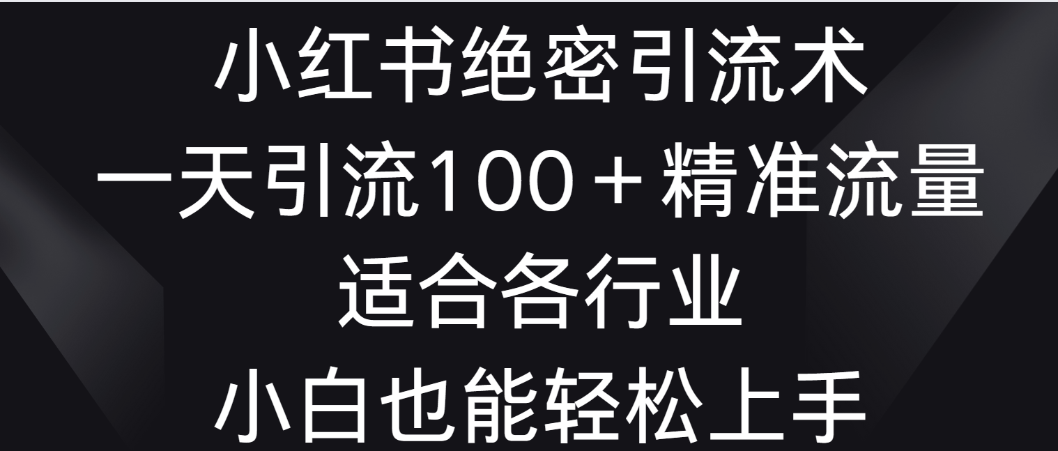 小红书绝密引流术，一天引流100＋精准流量，适合各个行业，小白也能轻松上手-蓝悦项目网