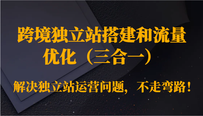 跨境独立站搭建和总流量提升（三合一）处理独立站运营难题，少走弯路！-蓝悦项目网