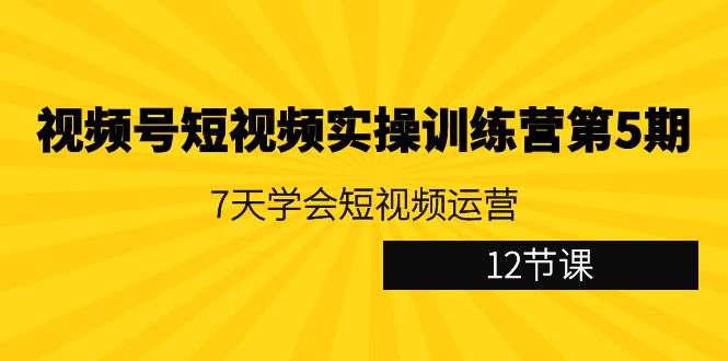 视频号短视频实操训练营第5期：7天学会短视频运营（12节课）-蓝悦项目网