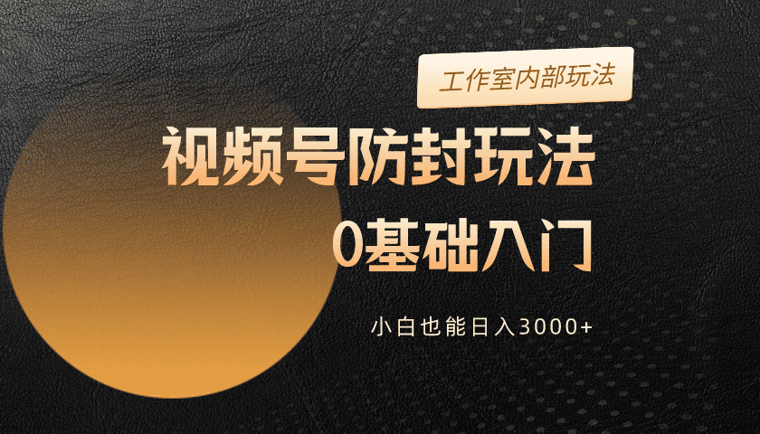 （10107期）2024微信视频号更新封号游戏玩法，零基础入门，新手也可以日入3000-暖阳网-蓝悦网,福缘网,冒泡网资源整合-蓝悦项目网