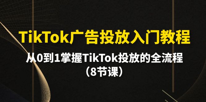 （10085期）TikTok广告营销基础教程，从0到1把握TikTok推广等各个环节（8堂课）-蓝悦项目网