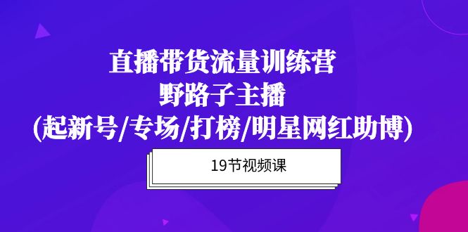 （10016期）直播卖货总流量夏令营，歪门邪道网络主播(起小号/盛典/冲榜/明星网红助博)19堂课-蓝悦项目网