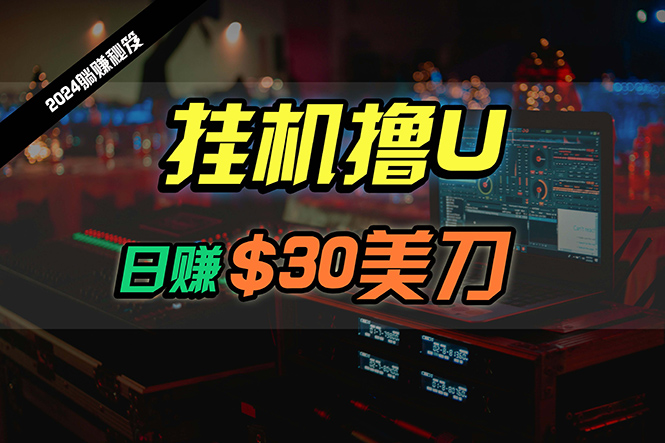 （10013期）日赚30美金，2024全新国外放置挂机撸U内部结构新项目，全过程无人化，可大批量变大-蓝悦项目网